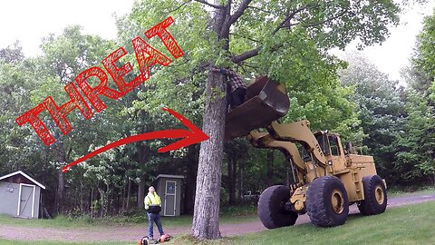 TREE THREATENS GARAGE