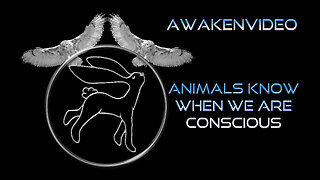 Awakenvideo - Animals Know When We Are Conscious