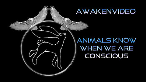 Awakenvideo - Animals Know When We Are Conscious