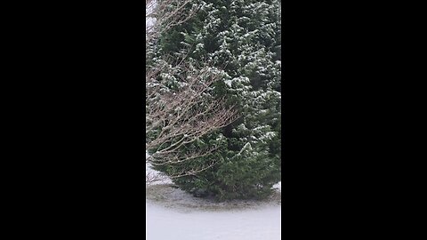 We Got A Little Snow