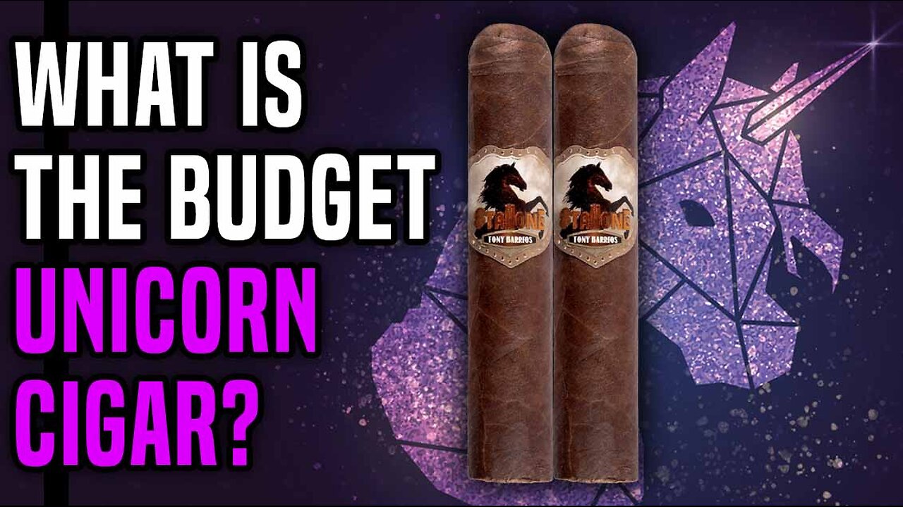What Is The Unicorn Cigar In The Budget Range?