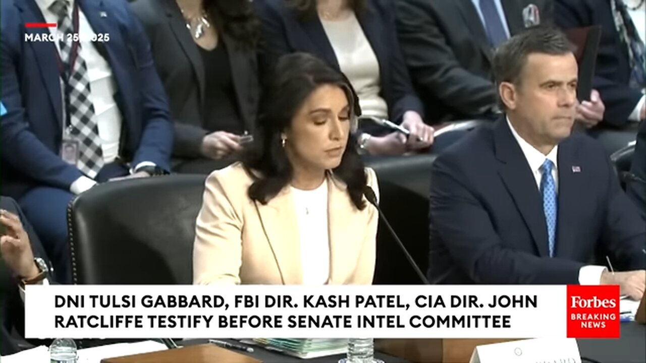FULL STATEMENT: Tulsi Gabbard Breaks Down Top Threats Facing The U.S.