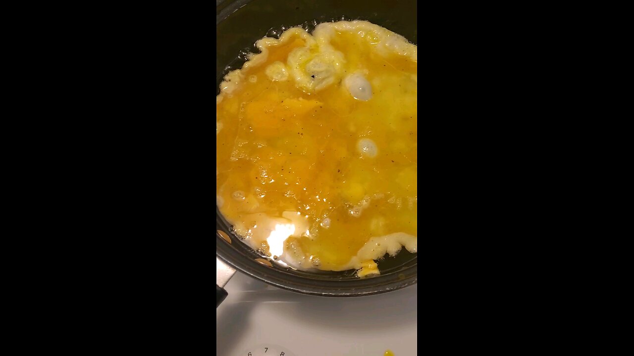 egg
