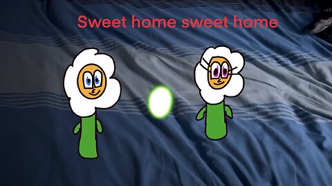 Flowers home love