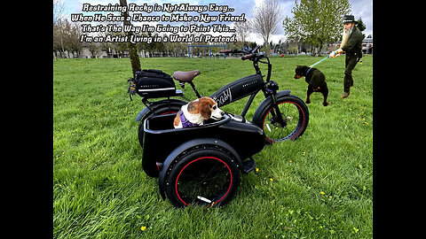 2-Wheeler Sidecar for My Dog