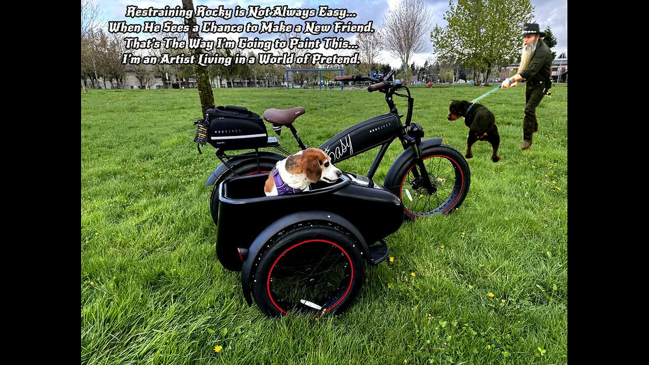 2-Wheeler Sidecar for My Dog