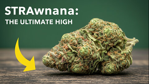 Str8Fire STRAWNANA ⭐️⭐️⭐️⭐️⭐️
