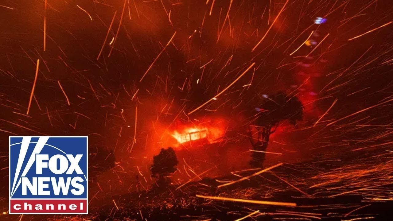 PLANTS OVER PEOPLE: Palisades fire victims attorney accuses