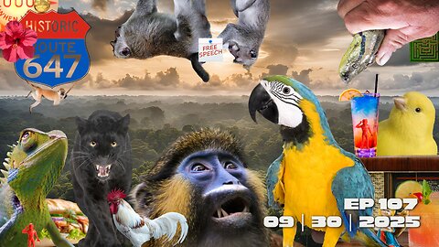 Six Stories, Zero Chill: Supreme Court, Tylenol Truth Bombs, and AI Starlets?! Ep107 20250930