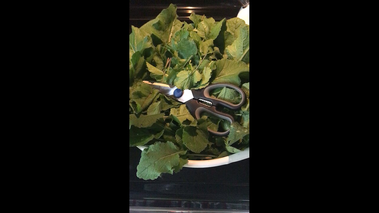Turnip Greens