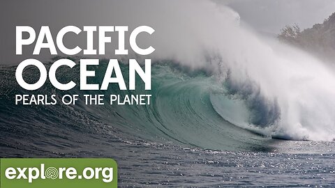 Pacific Ocean | Pearls of the PlanetPacific Ocean | Pearls of the Planet