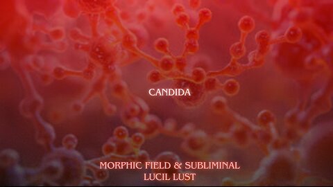 CANDIDA || MORPHIC FIELD