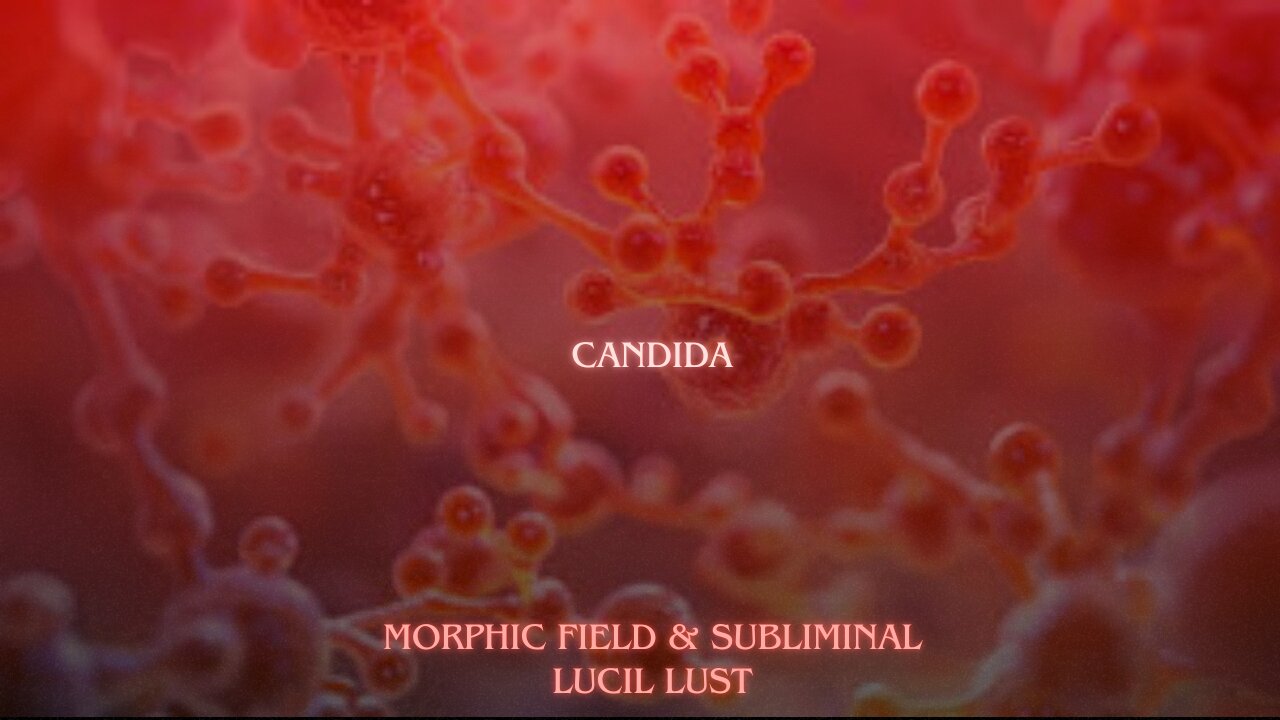CANDIDA || MORPHIC FIELD