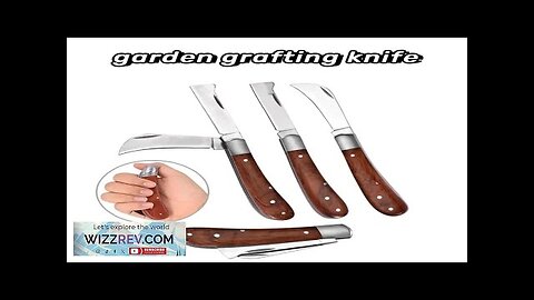 Garden Grafting Knife Stainless Steel Mushroom Electrician Folding Pocket Knife EDC Hand Review