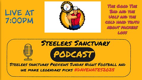 Steelers Sanctuary Packers Loss Reaction
