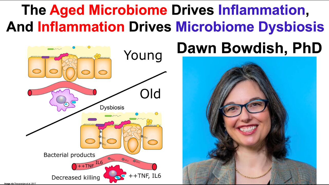 The Aged Microbiome Drives Inflammation, And Inflammation Drives Microbiome Dysbiosis