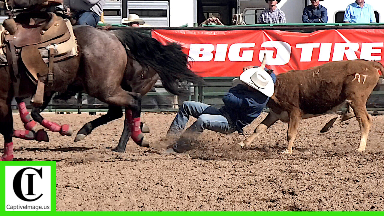 Steer Wrestling - Legends of the West Rodeo | Saturday 2025
