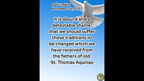 Daily Insight November 14, 2025 #faith #saint #insight