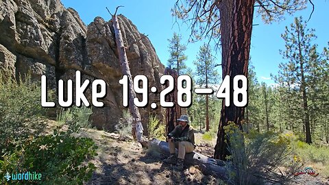 Luke 19:28-48, Bible Reading in Nature, BSB