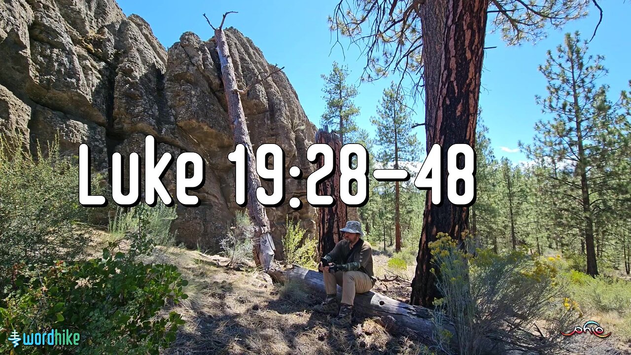 Luke 19:28-48, Bible Reading in Nature, BSB