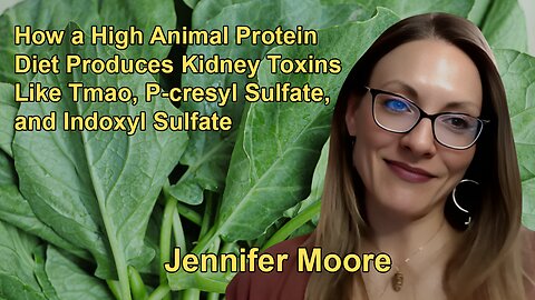 How a High Animal Protein Diet Produces Kidney Toxins