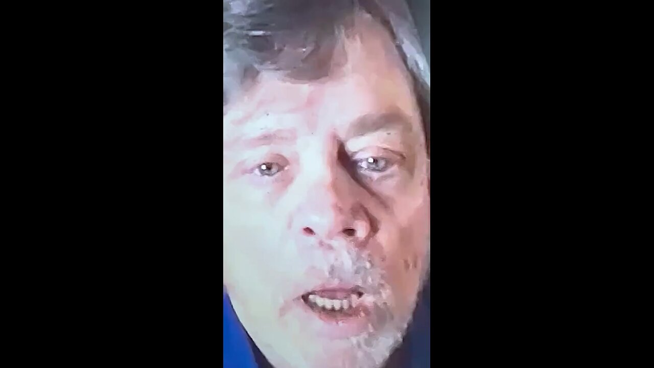 Do you see what I see?