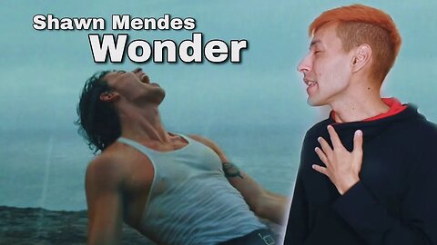 Shawn Mendes - Wonder (Official Music Video) [REACTION]