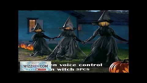 Light-Up Witches with Stakes Halloween Decorations Outdoor Holding Hands Screaming Witches Review