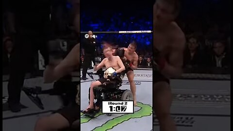 Stephen Hawking UFC FIGHT!