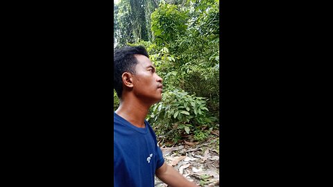 Enjoying the Natural Beauty of Indonesia