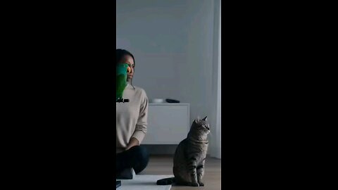 The #parrot Explains the #cat Existential Crisis