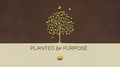 Planted for Purpose | Matthew 13:31-32 | Ontario Community Church | Ontario, Oregon