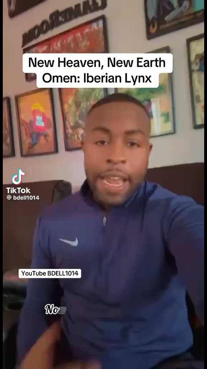 The Iberian Lynx In Spain; Is It An Omen?