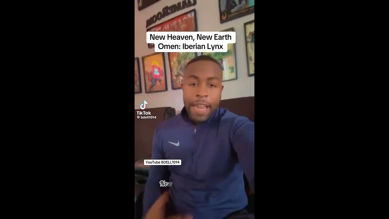 The Iberian Lynx In Spain; Is It An Omen?