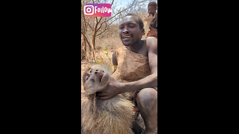 Hadzabe Tribe Last Hunting Baboon