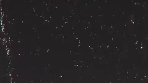 🙅 Blackrock: Company you never voted for—but that now OWNS world