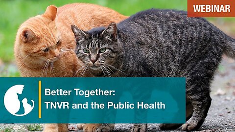Better Together: TNVR and Public Health