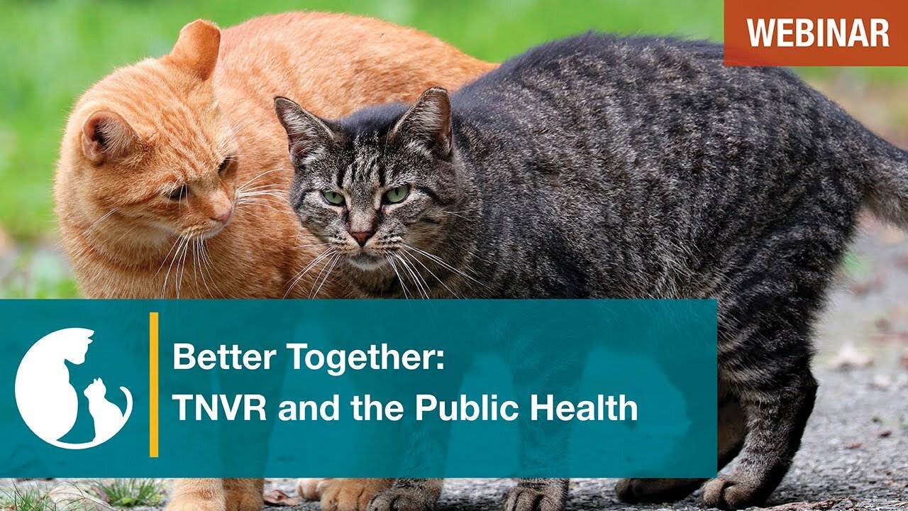 Better Together: TNVR and Public Health