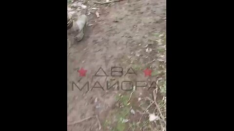 Strictly 18+ Captured Ukrainian positions are strewn with the mutilated bodies of Ukrainian soldiers