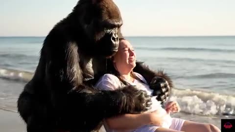 Gorilla sex with human female