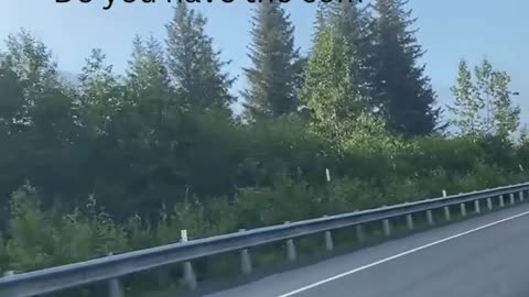 Community Support For The Journey