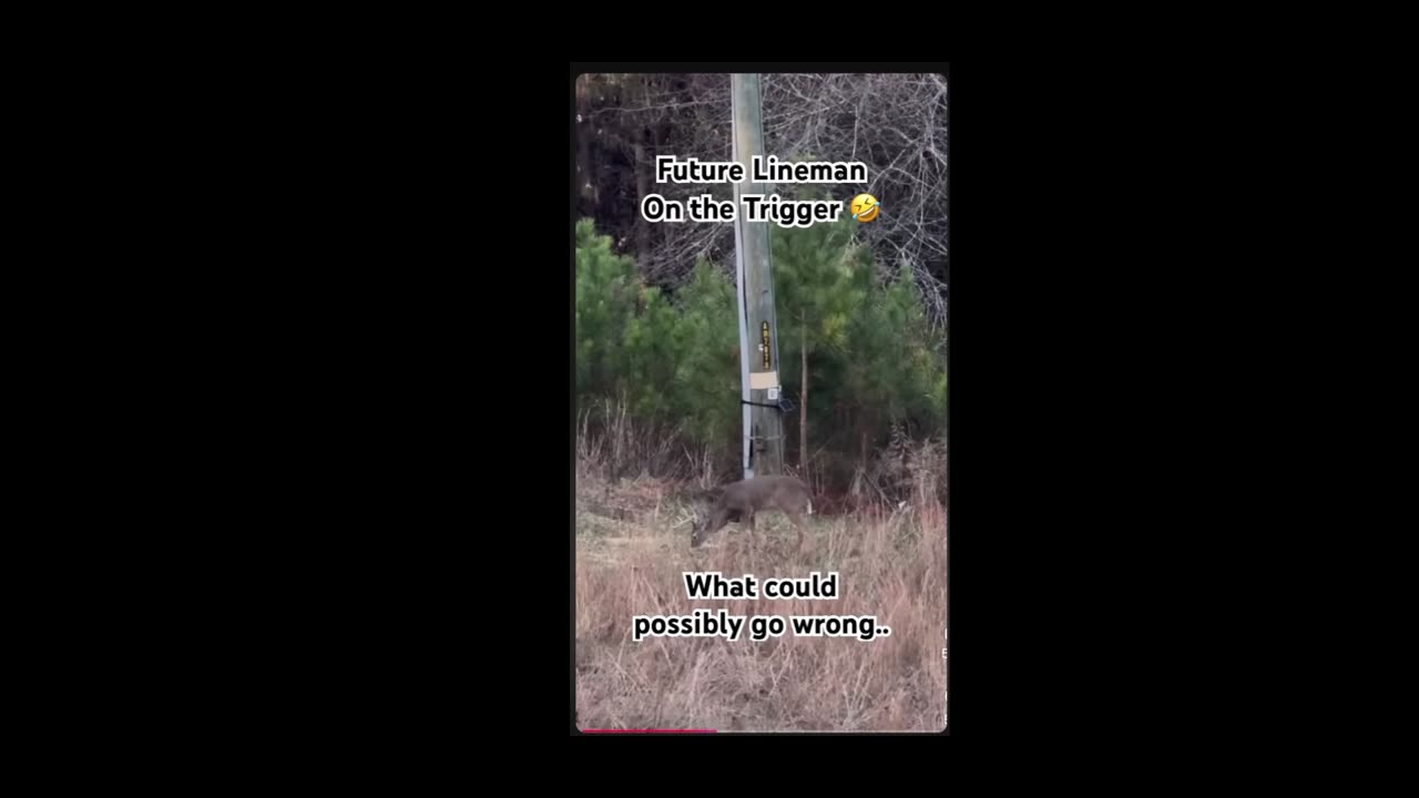 What Could Possibly Go Wrong??? UH-OHHH