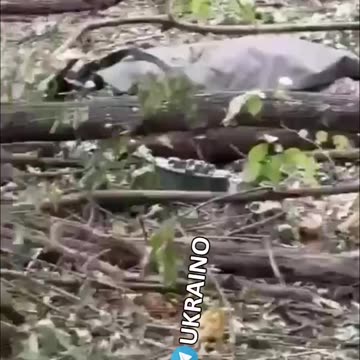 Who wants some maggots for fishing?