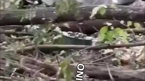 Who wants some maggots for fishing?