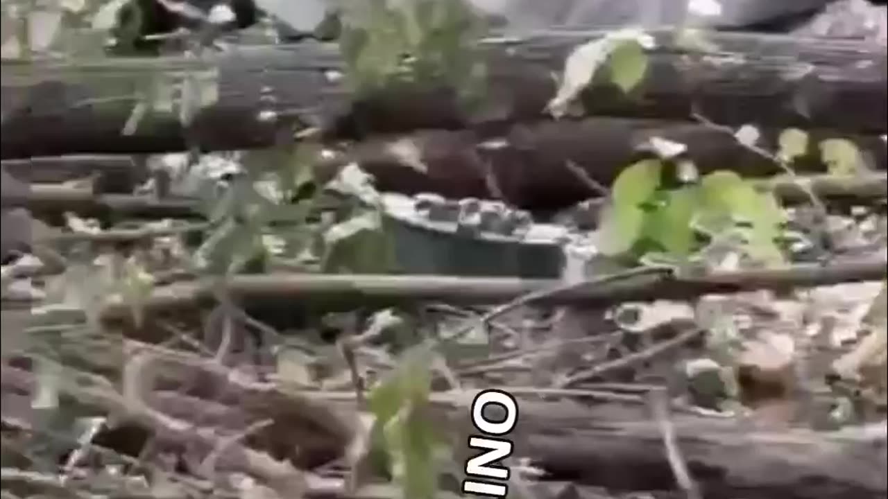 Who wants some maggots for fishing?