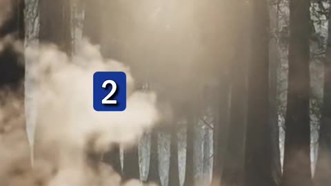 Scripture of the Day