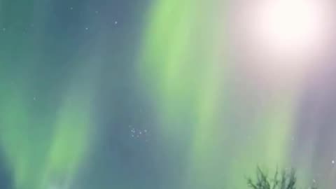 Northern Lights in Fairbanks Alaska 🌌 | Stranger Things Vibes | TravelwithSaave