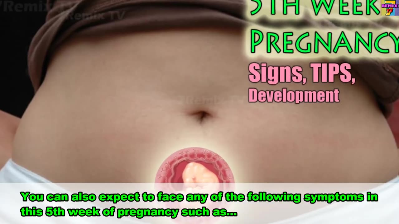 5th Week of Pregnancy. The Pregnant Symptoms, Development and Tips To A Healthy Pregnancy