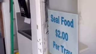 😂🚗 You Won't Believe This Zoo Drive-Thru Experience! | FunFM