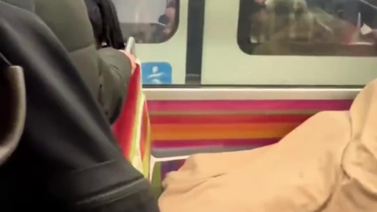 Paris Metro. If you import third world you become third world.